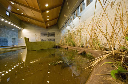 Μουσείο Περιβάλλοντος Στυμφαλία